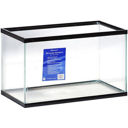 How Long Can a Betta Fish Go Without Food? A Comprehensive Guide