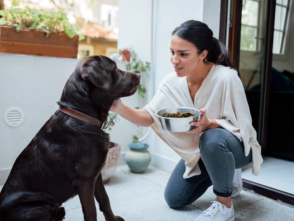 A person kneels outdoors to feed their golden retriever dog kibble from a blue bowl, illustrating portion control and pet care.