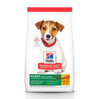 What is the Best Dog Food Brand?