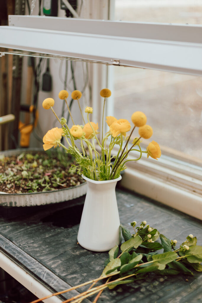 Various bouquets of fresh flowers in vases, showcasing different flower types and arrangements, all benefiting from the use of flower food to maintain their beauty and extend their vase life.