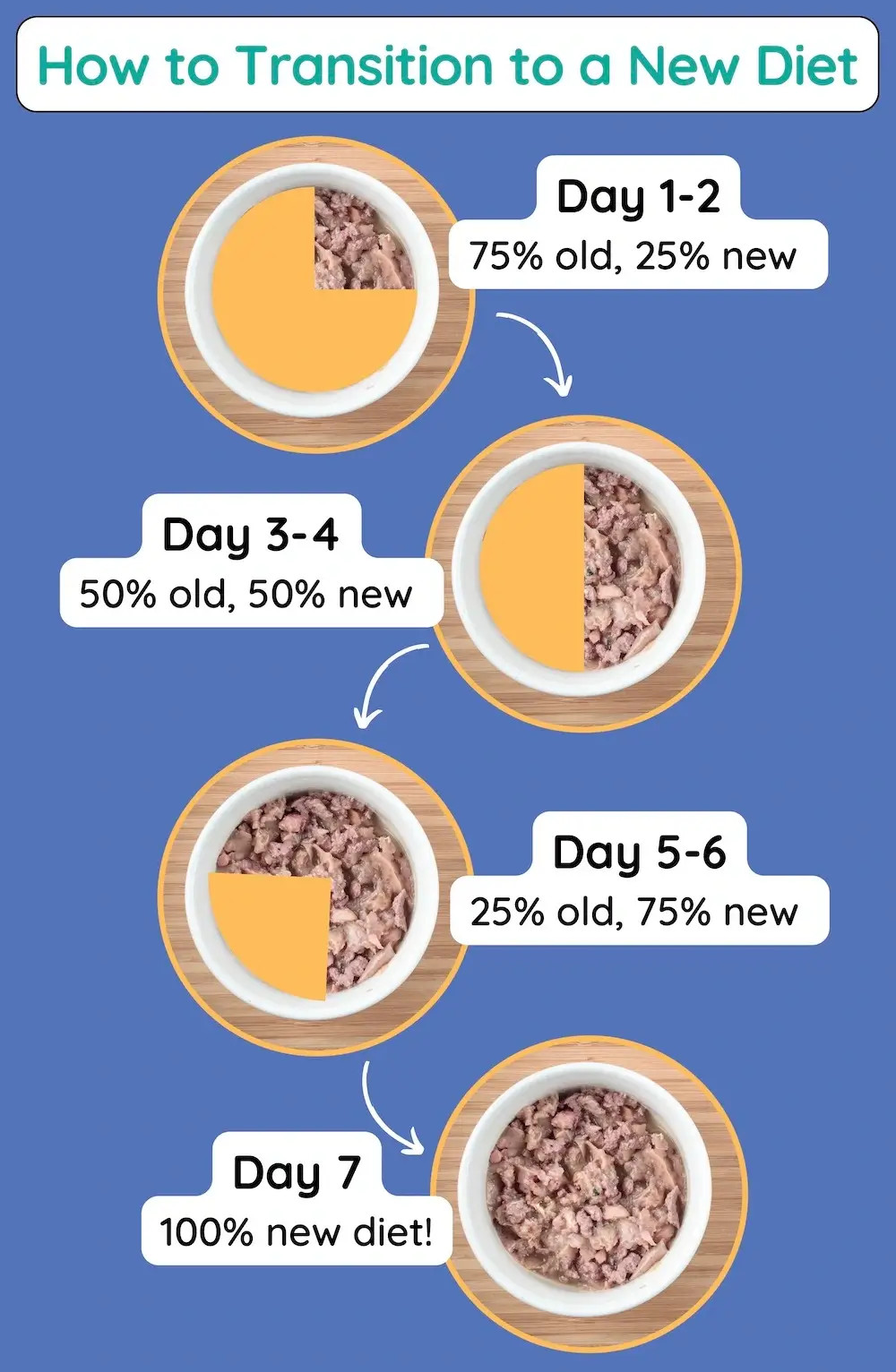 Guide on how to transition cat food gradually to avoid digestive upset