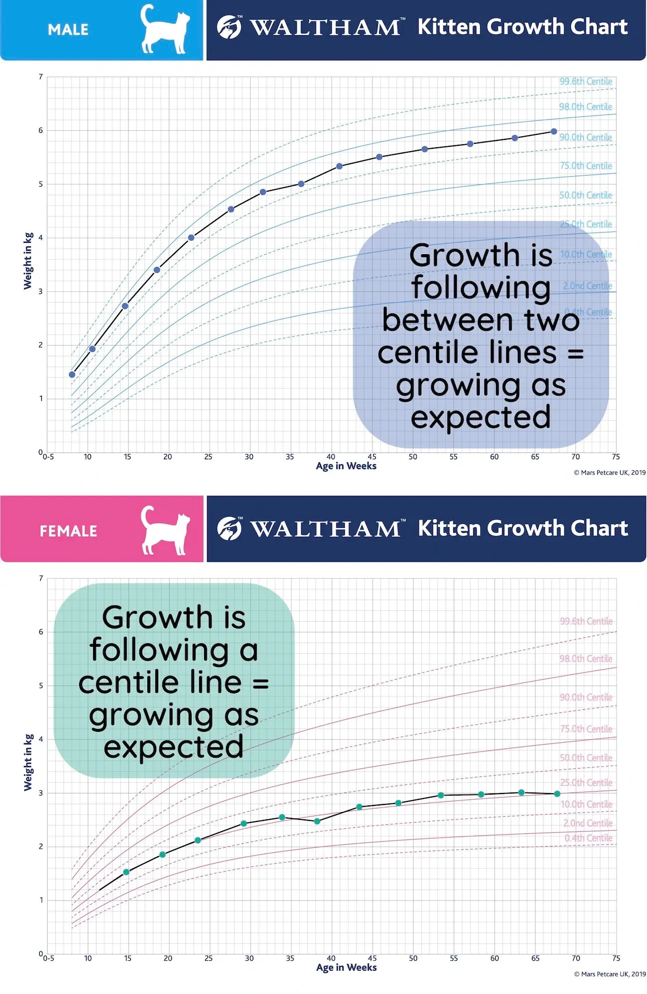 Normal kitten growth chart for monitoring healthy weight gain and development