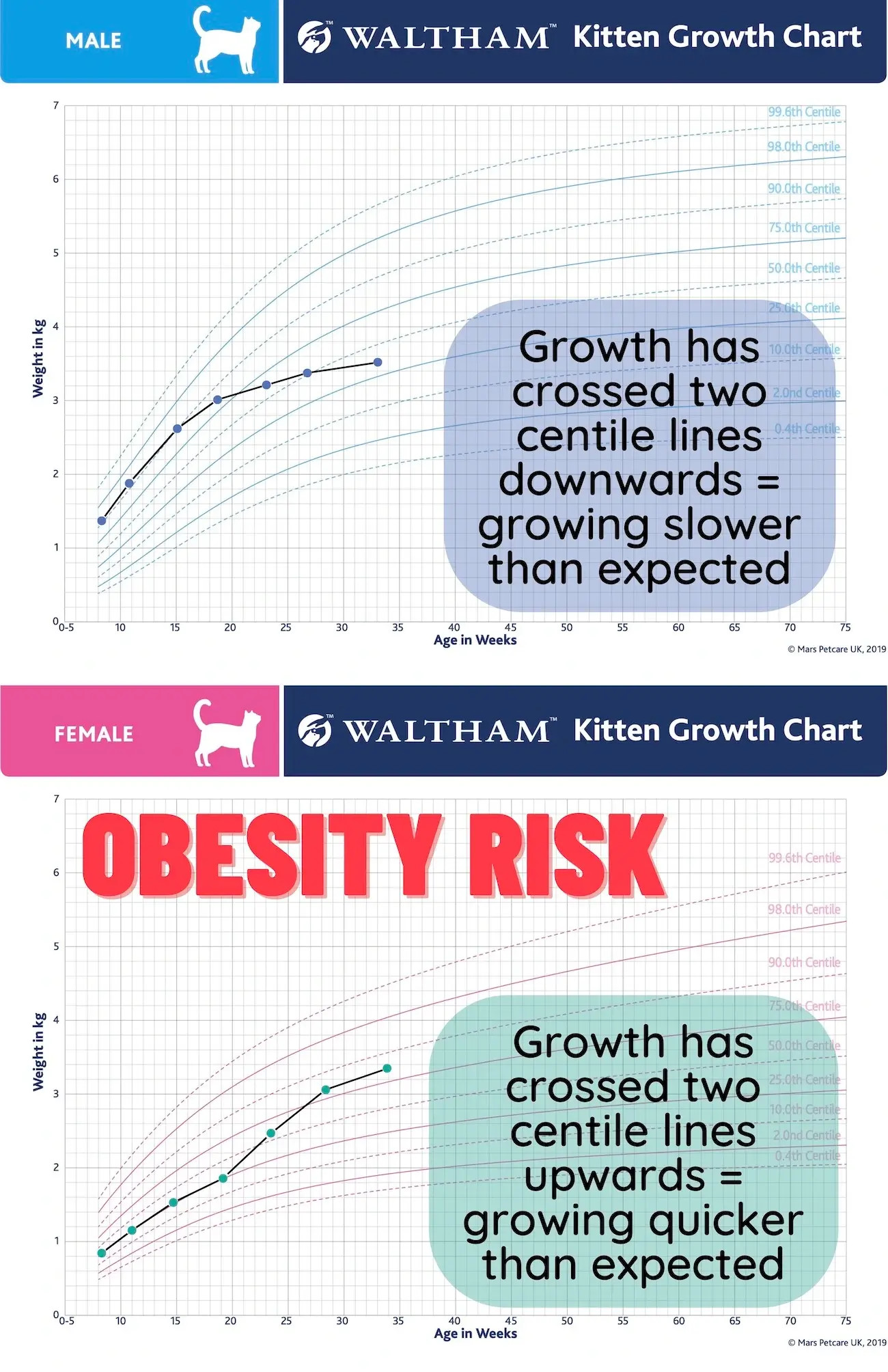 Abnormal kitten growth chart example indicating potential issues with underfeeding or overfeeding