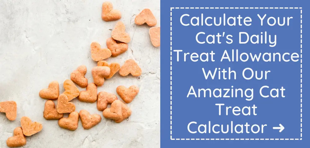 Link to cat treat calculator to determine daily treat allowance and adjust main meal portions