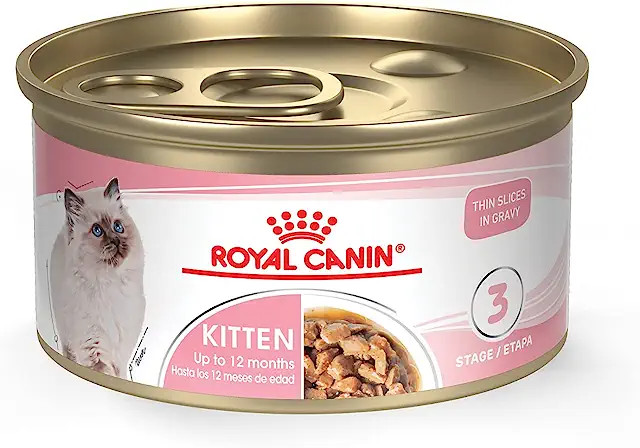 Royal Canin Kitten - Thin Slices in Gravy