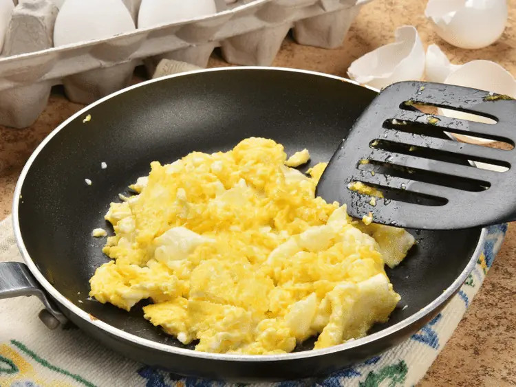 A close-up of a bowl of cooked, unseasoned scrambled eggs, a protein-rich human food that is safe and nutritious for canine diets.