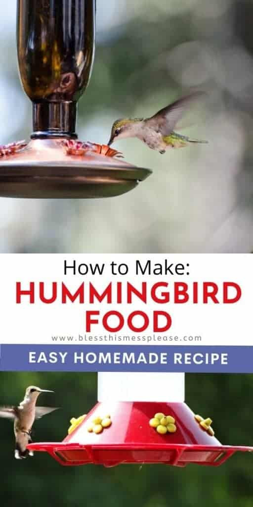 How to Make Hummingbird Food: Easy DIY Recipe