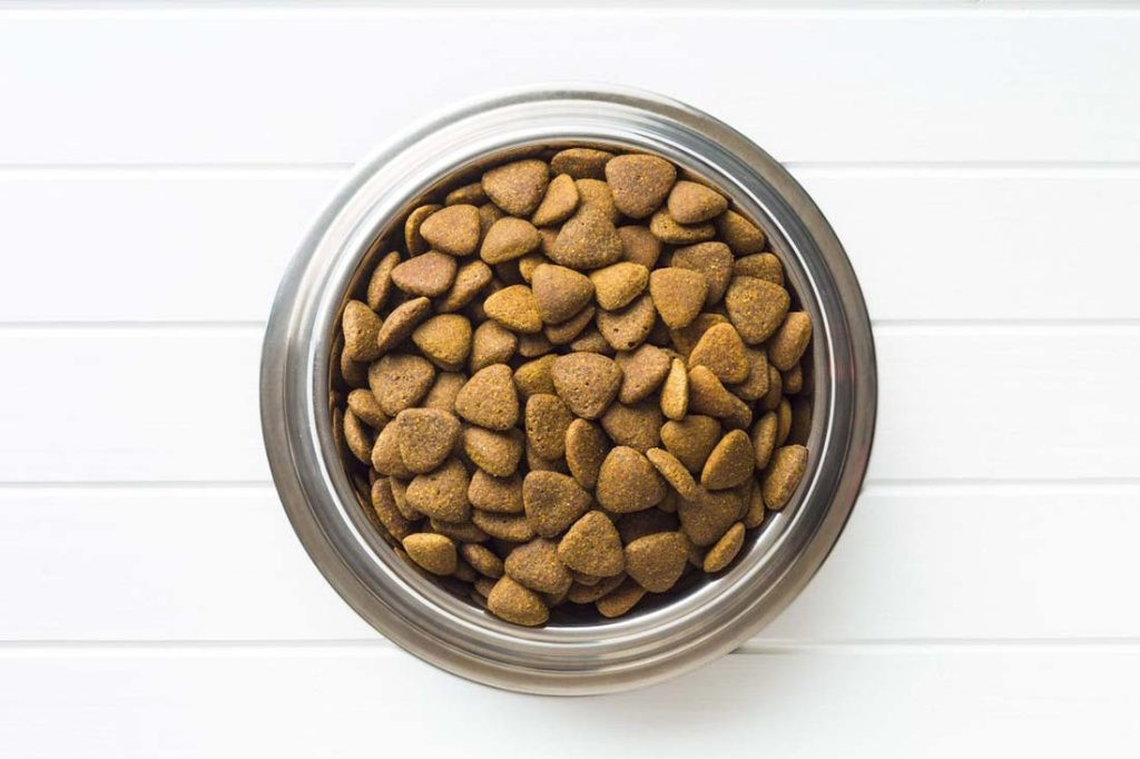 Dry kibble dog food in a bowl, illustrating a typical pet food format often containing chicken meal for cost-effectiveness and shelf life.