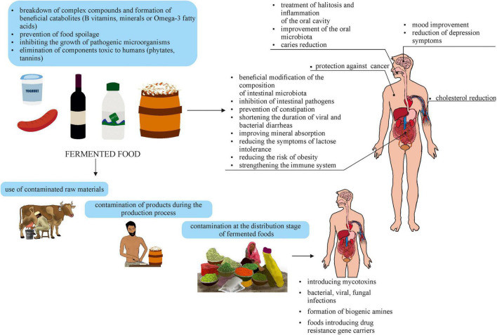 Effects of consuming fermented foods