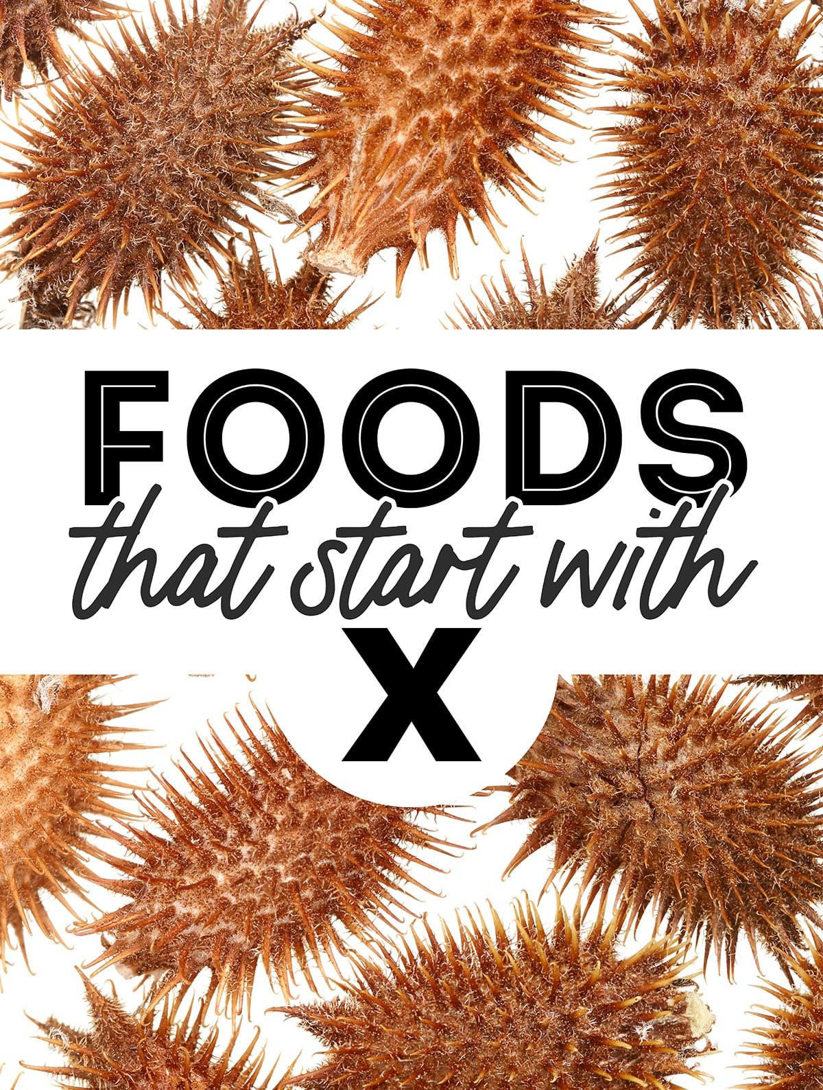 Exploring Foods That Start With X: An X-cellent Culinary Adventure