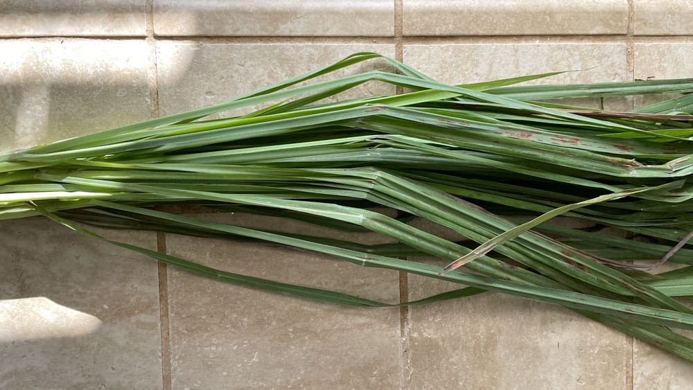 How to Use Lemongrass in Food: A Comprehensive Guide