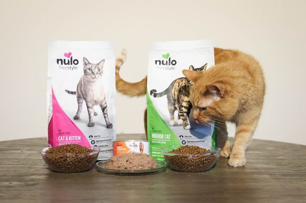 Assortment of Nulo cat food products alongside a domestic shorthair cat, highlighting the brand's appeal to feline consumers.