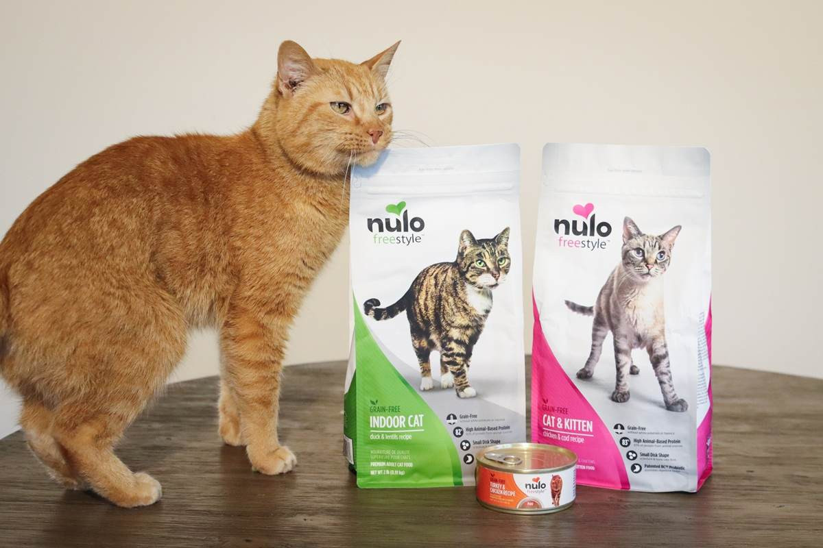 Variety of Nulo cat food products including dry kibble and wet food cans, showcasing the brand's diverse range for feline diets.