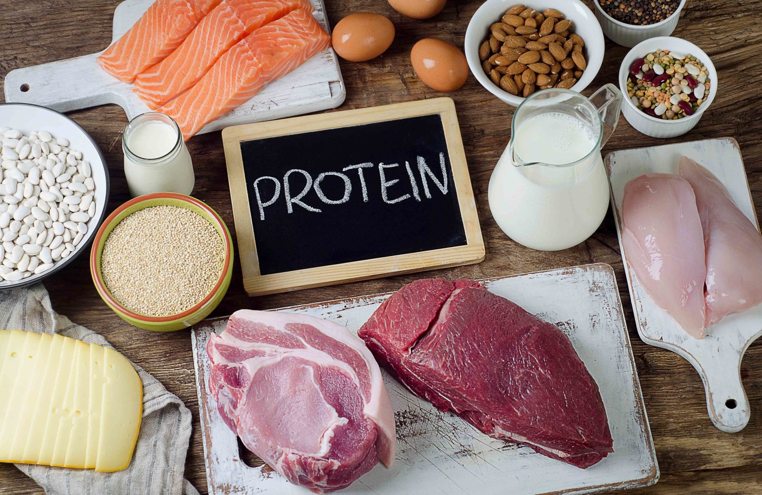 Protein molecule illustration. Learn about high protein foods and their role in a healthy diet.