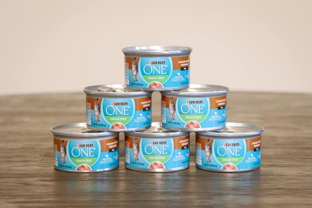 Close-up of Purina ONE Chicken Recipe Premium Pate in a can, showing the pate texture