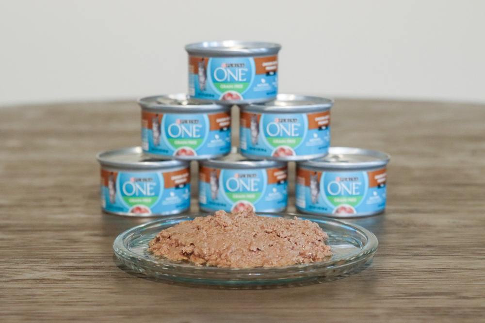 Purina ONE Chicken Recipe Premium Pate scooped into a dish, ready for feeding