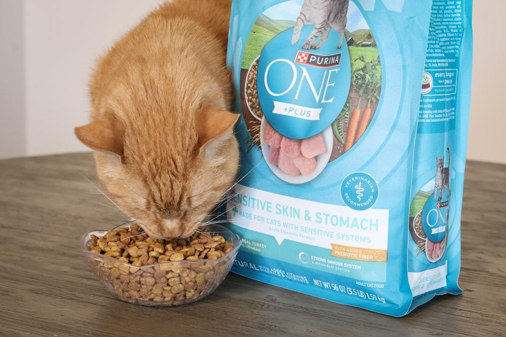 Purina ONE +Plus Sensitive Skin &amp; Stomach kibble scattered to highlight its shape and composition