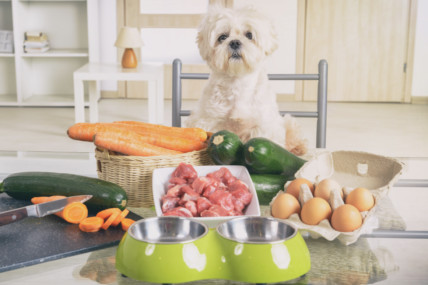 Vet Approved Homemade Dog Food Recipes