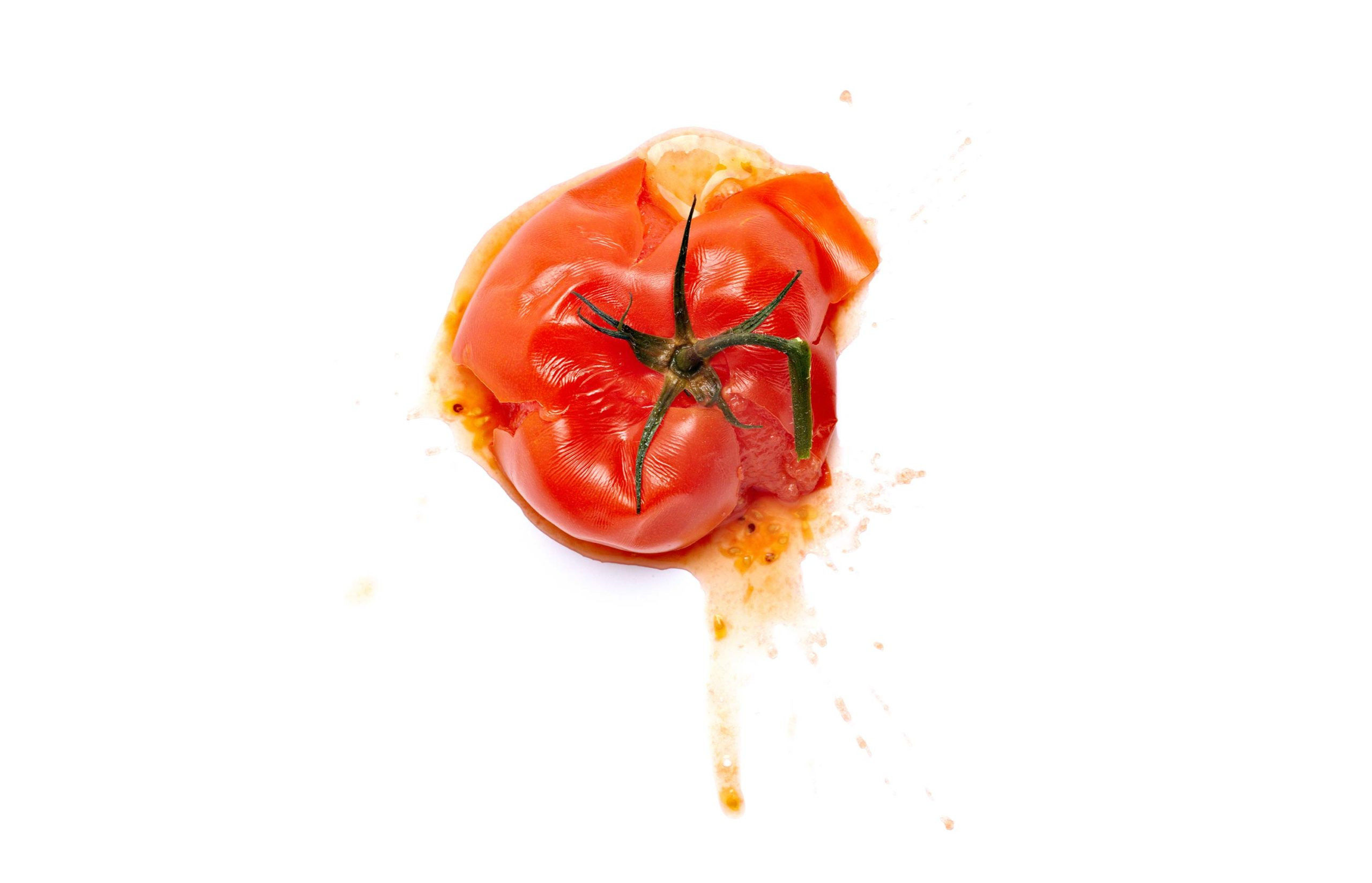 What is the Food of America? Unpacking Food Waste and Consumption Habits