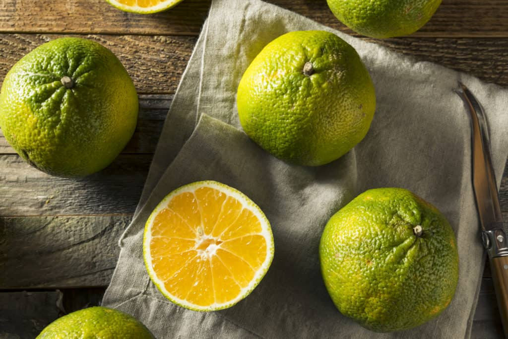 What Are Foods That Start With U? Exploring Unique and Unusual Eats