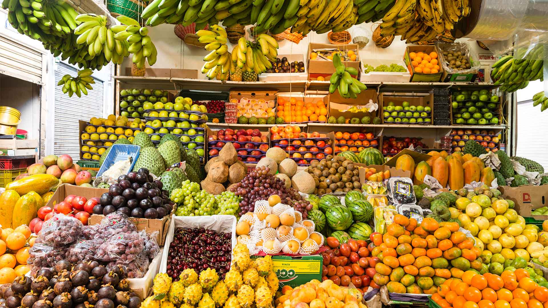 A colorful assortment of Colombian fruit candies, featuring flavors such as papaya, breva, blackberry, cape gooseberry, coconut, rhubarb, and guava, showcasing the diverse and delightful sweet treats made from the vast array of fruits available in Colombia.