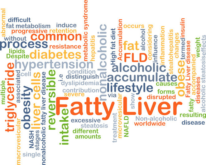 What Foods Are Bad For Your Liver And How To Avoid Them?
