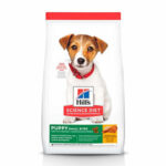 **What Are The Top Dog Food Brands Recommended By Experts?**
