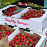 What Are The Best Food Suppliers In The USA?
