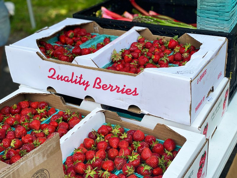 What Are The Best Food Suppliers In The USA?
