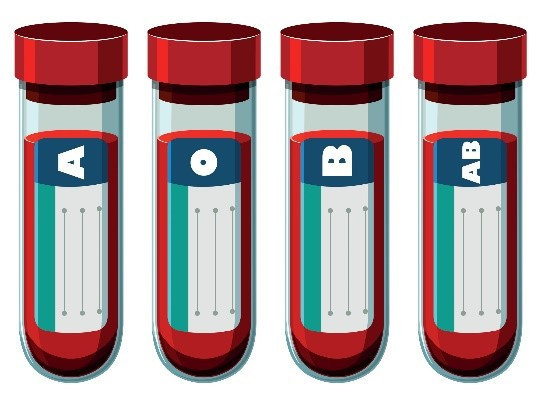 Is the O Positive Blood Type Diet Right for You? Foods to Eat & Avoid