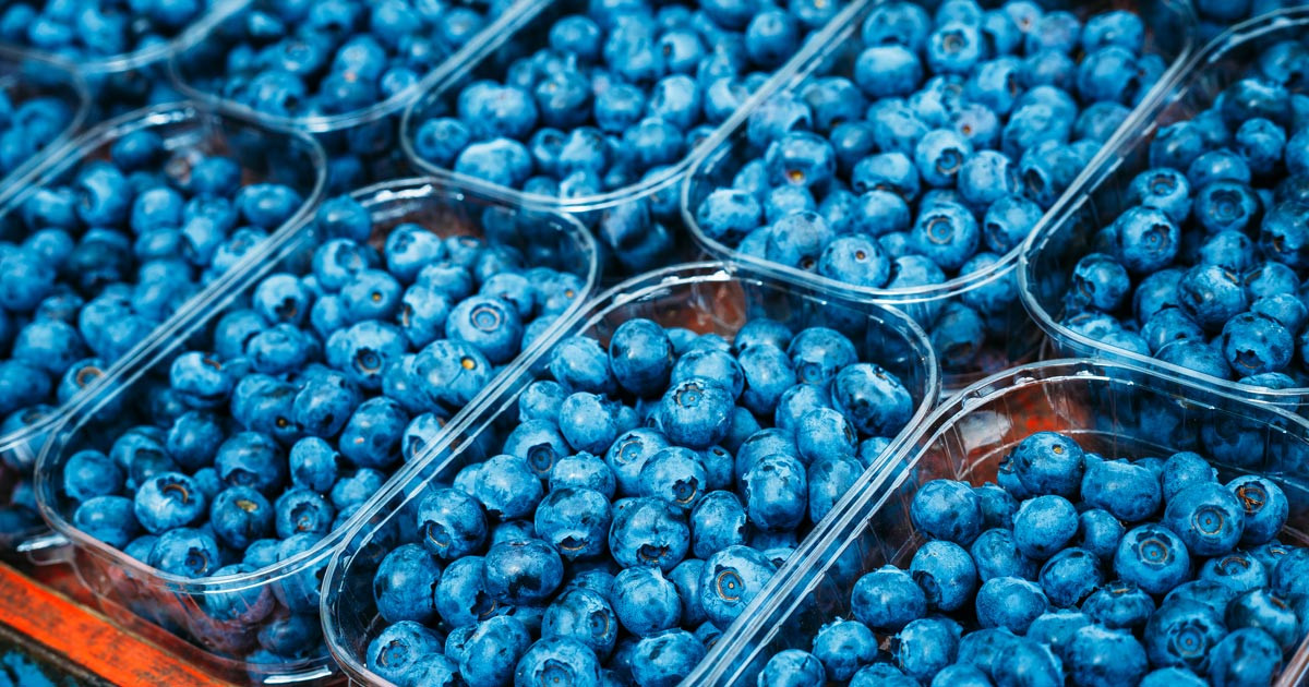 What Food Is Good for Kidneys: A Comprehensive Guide
