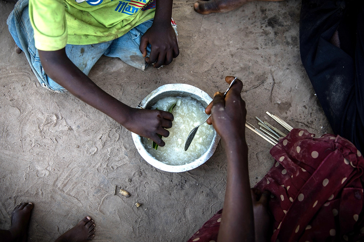 **What Are The Key Strategies For Tackling Food Shortage?**