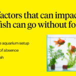 Factors impacting fish survival without food: age, aquarium health, and fish type