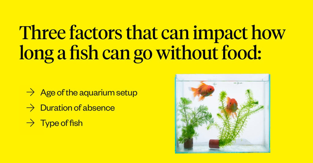 How Long Can Fish Survive Without Food? A Complete Guide