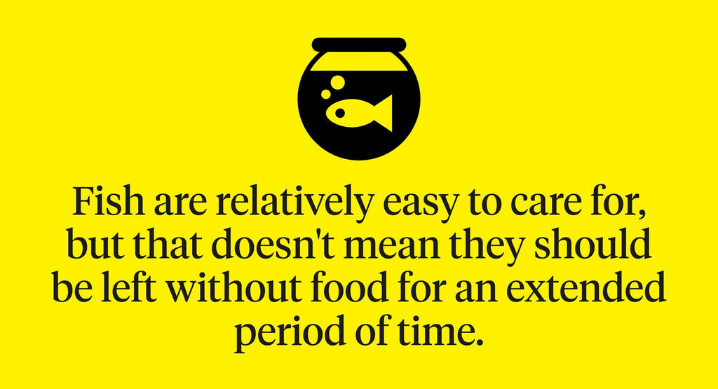 Even though fish are low-maintenance, they still require proper care and shouldn’t be left without food for a long period of time.