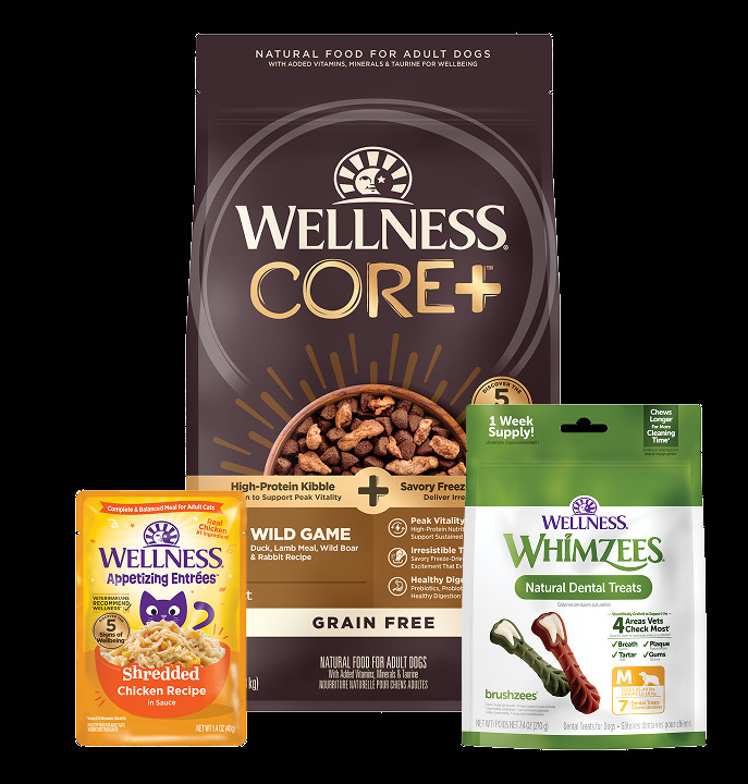 What Is Wellness Dog Food And Why Is It Important?