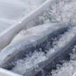 What Is The Danger Zone For Food And How To Avoid It?