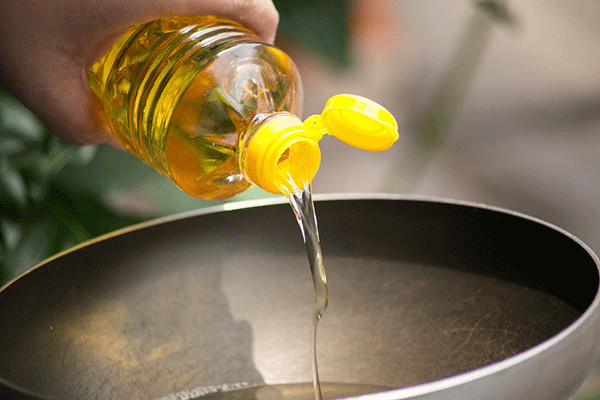 What Are The Best Omega 6 Fatty Acids Foods To Include In Your Diet?