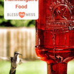 homemade hummingbird food.