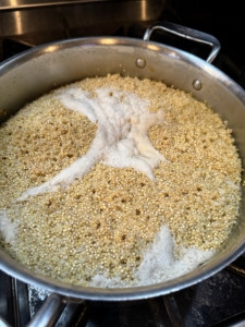 Quinoa mixed into dog food provides a healthy grain alternative.