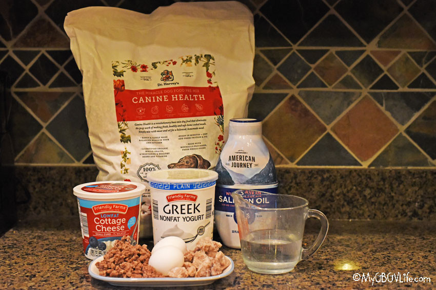 Is Dr. Harvey Dog Food The Right Choice For Your Canine Companion?