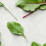 What Is The Ultimate List Of Low Carb Foods?