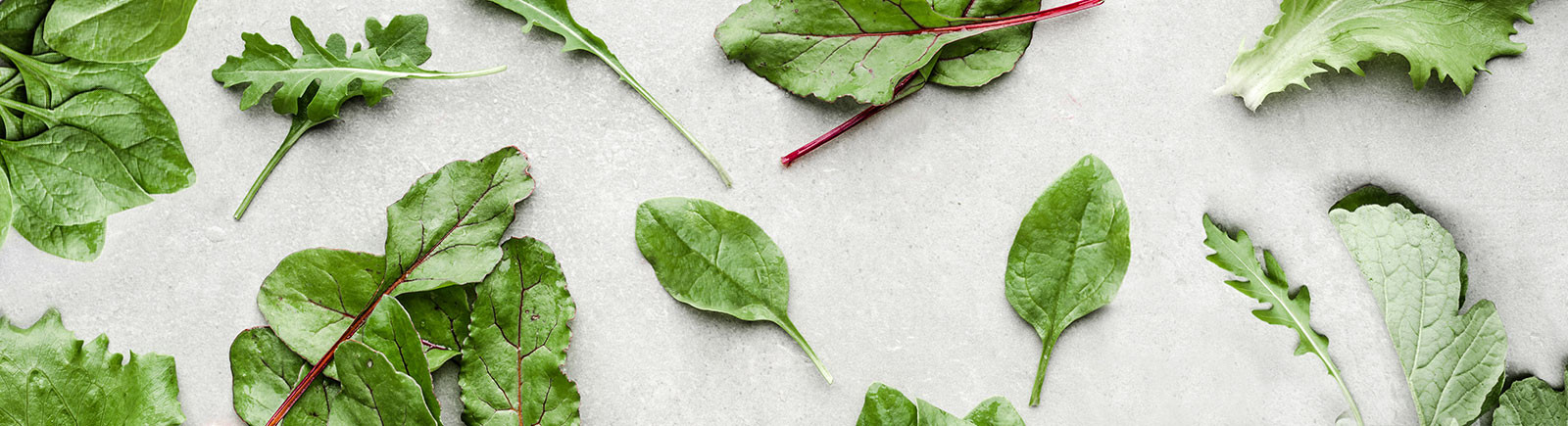 What Is The Ultimate List Of Low Carb Foods?