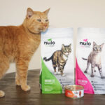 Is Nulo Cat Food A Nutritious Choice For Your Feline?