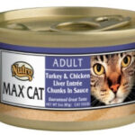 Is Nutro Cat Food A Healthy Choice For Your Feline Friend?