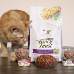 Is Fancy Feast A Good Cat Food For Your Feline Friend?