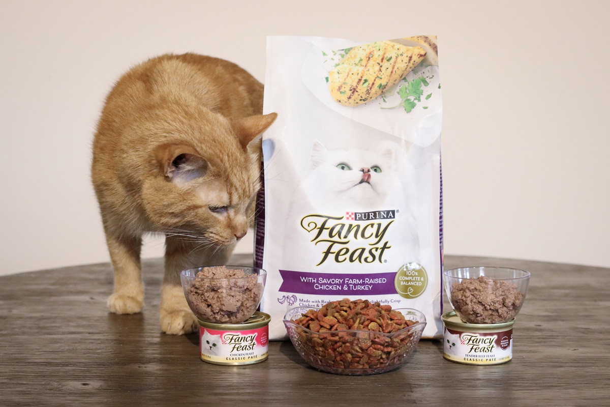 Is Fancy Feast A Good Cat Food For Your Feline Friend?