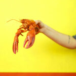 What Are The Best Beach Food Ideas For Your Next Outing?