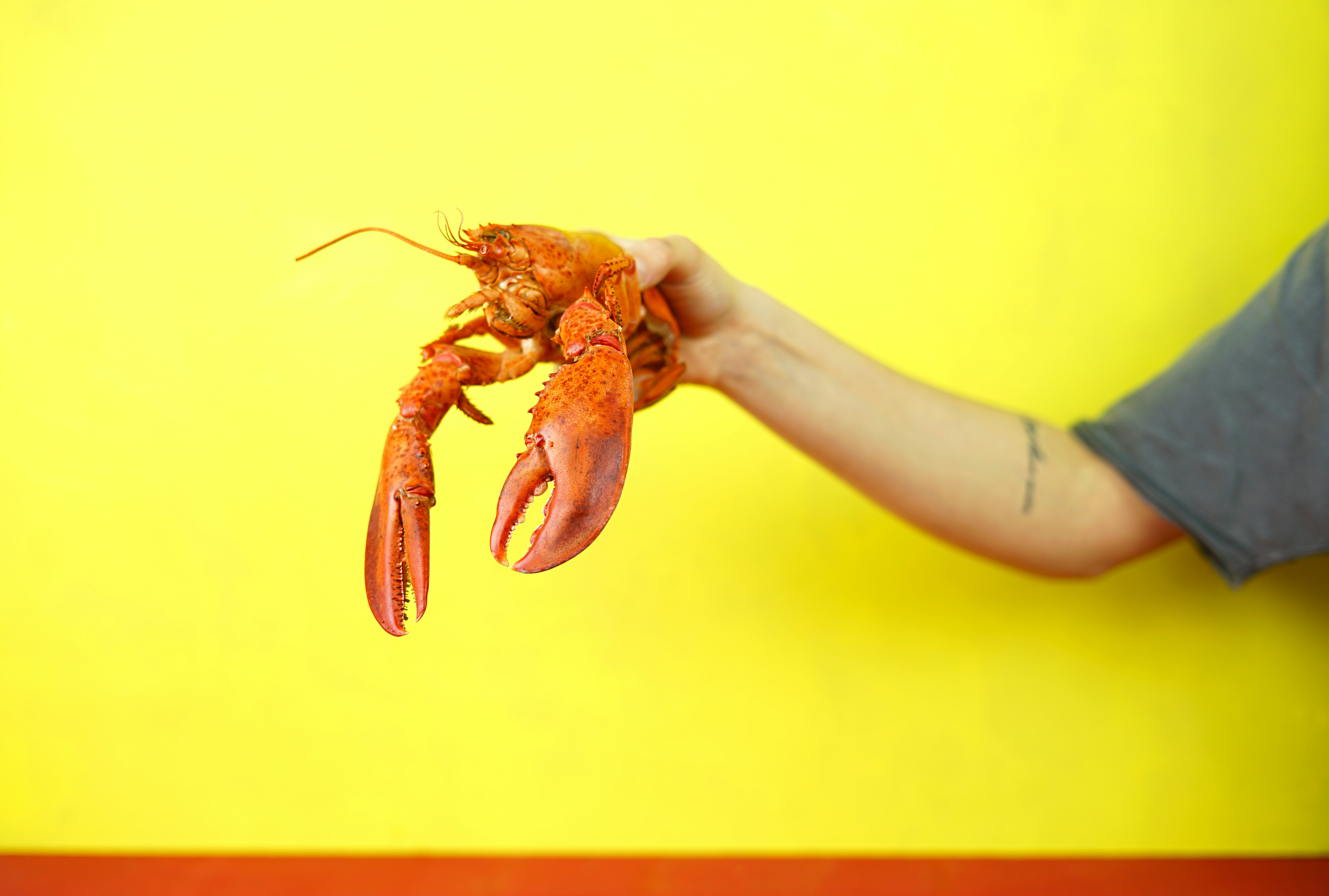 What Are The Best Beach Food Ideas For Your Next Outing?