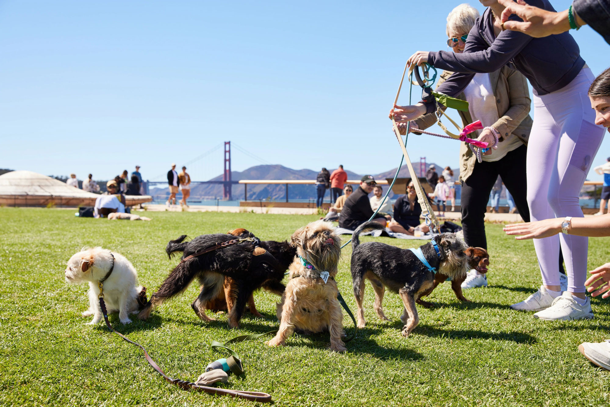 Is There A Pet Food Express Near Me? Find the Best Options